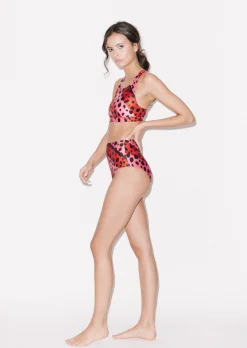 House of Holland HOH X Speedo Bright Cheetah Stripe Bralet